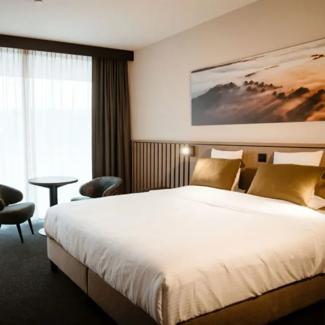 Chambre d'hôtel au Luxembourg moderne avec lit double.